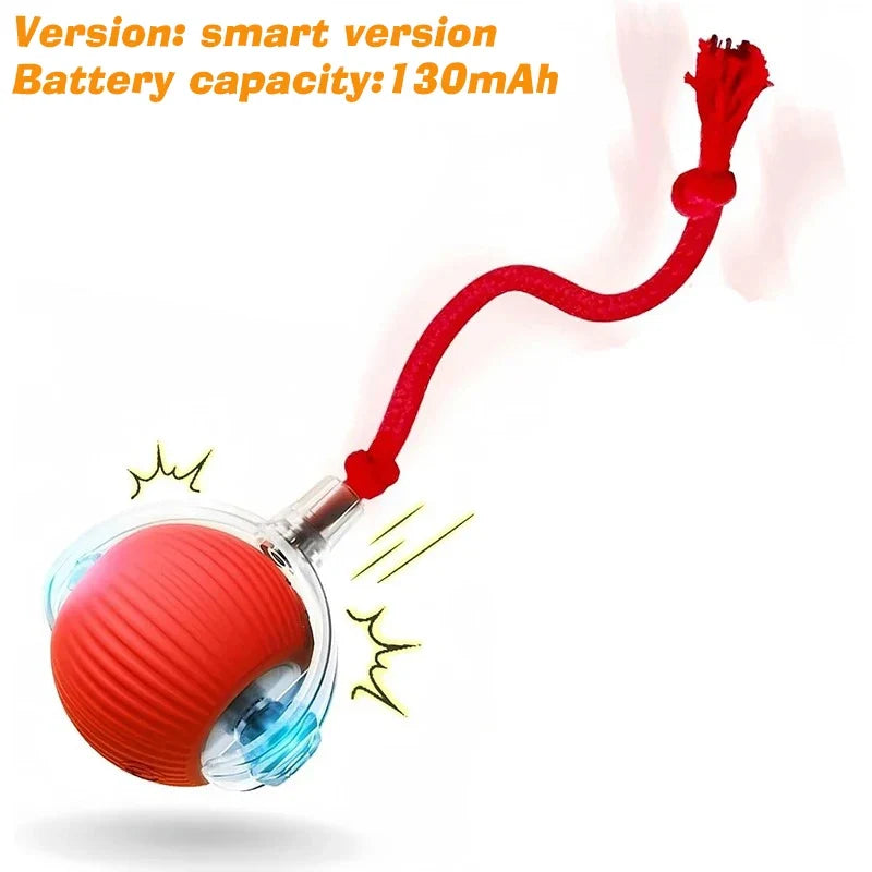 Rechargeable Dog Interactive Ball