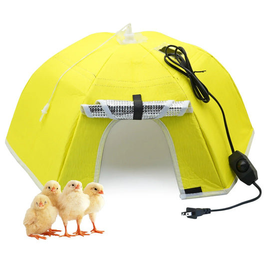 Electric Chick Brooder Heating Cover Chick - MyPetDollar.com
