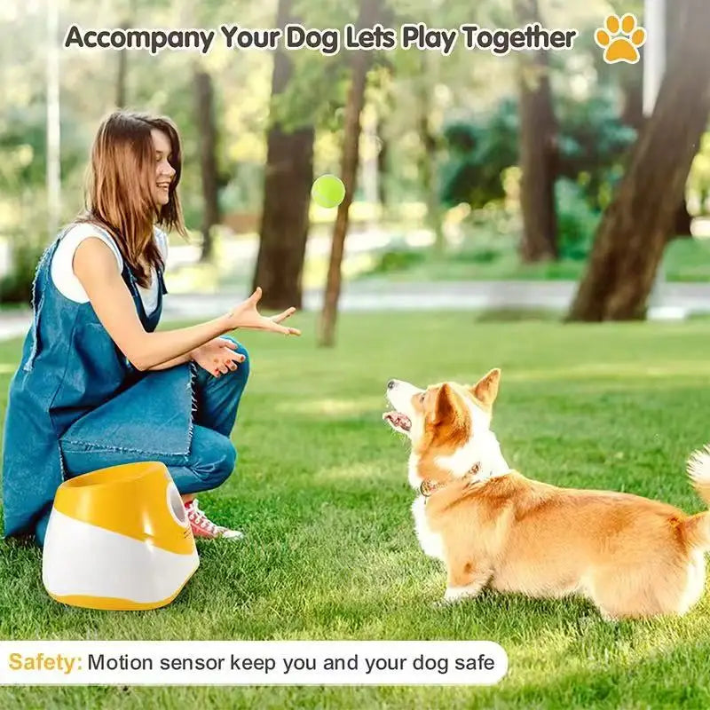 Outdoor Throwing Rechargeable Automatic Dog - MyPetDollar.com