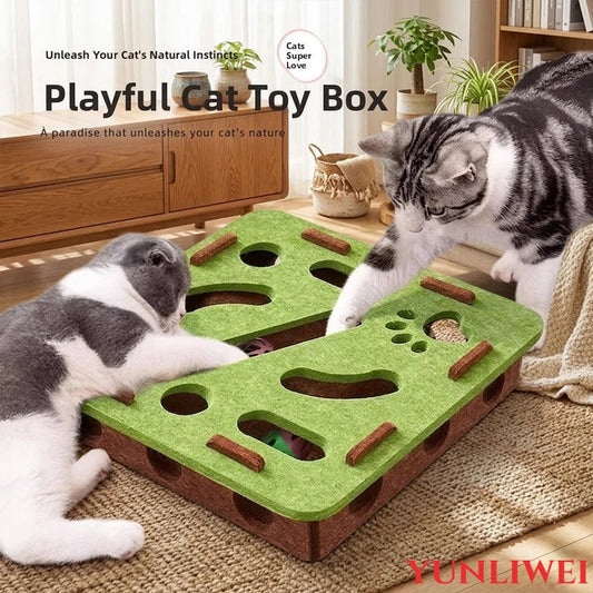Pet Cat Puzzle Toy Maze Box Interactive - MyPetDollar.com