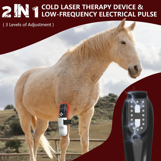 4x808nm Laser Therapy Device for Horse Pets - MyPetDollar.com
