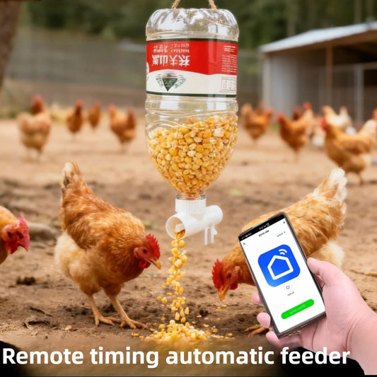 wifi poultry automatic timing feeder - MyPetDollar.com
