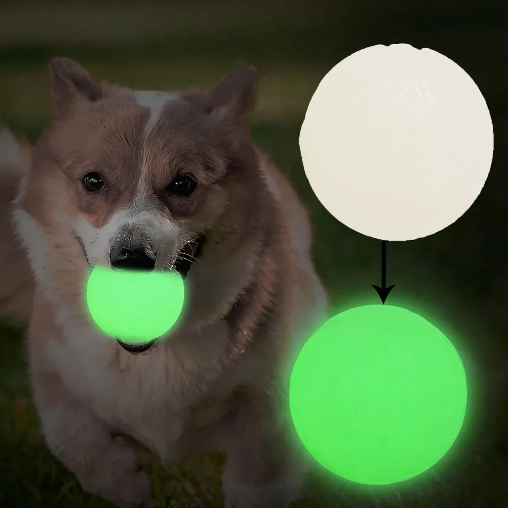 2PCS Dog Chew Toys Ball - Glow in The Dark, - MyPetDollar.com