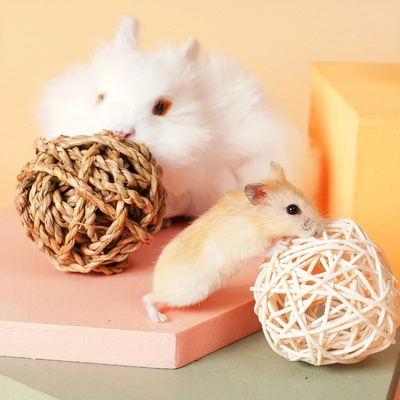 8pcs Bunny Grass Balls Rolling Toys for - MyPetDollar.com