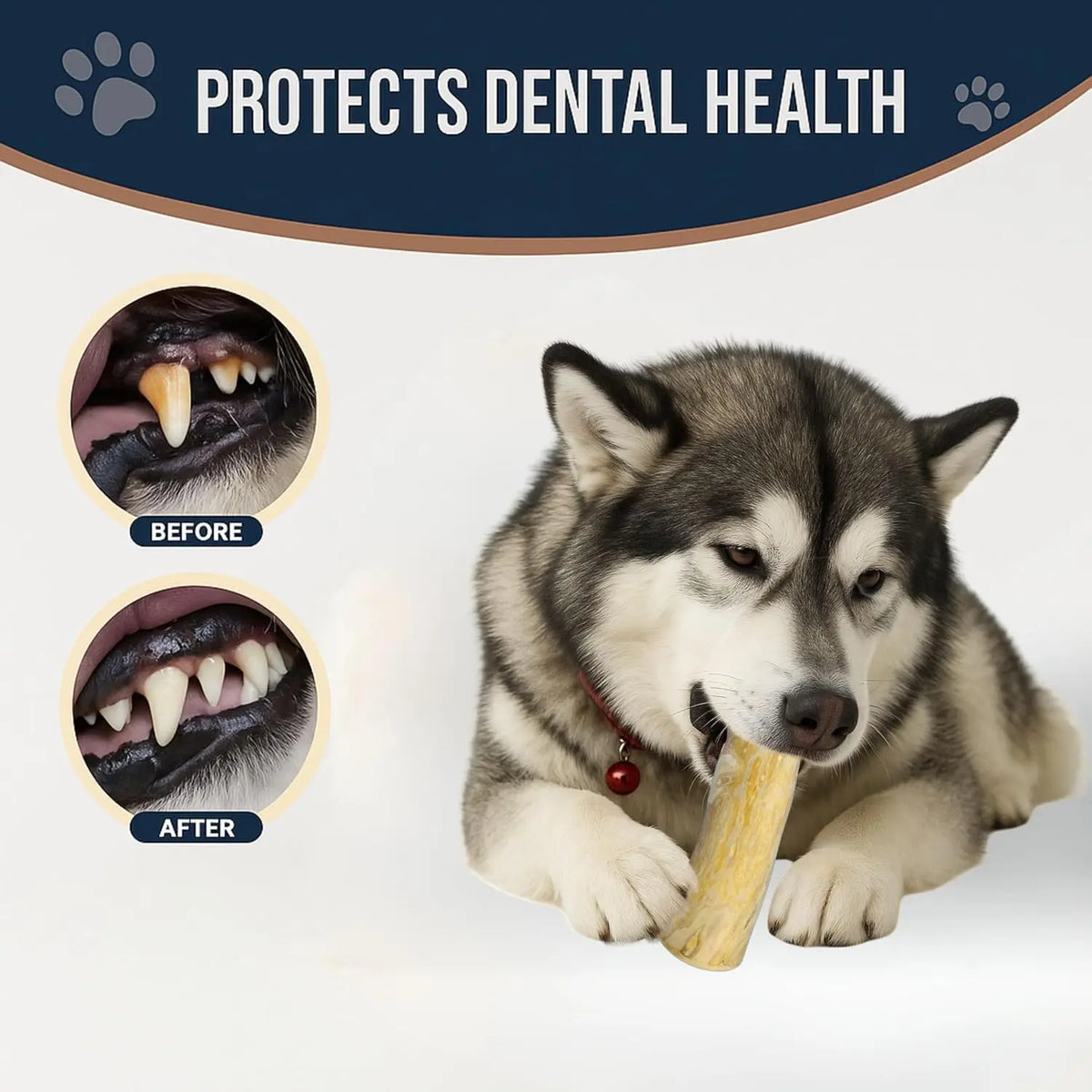Coffee Wood Dog Chew Stick - Coffee Wood - MyPetDollar.com