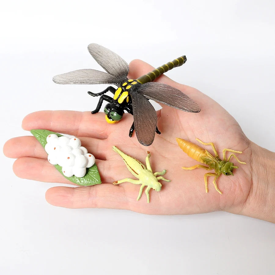 Realistic Insect Grasshopper Mosquito Cicad - MyPetDollar.com