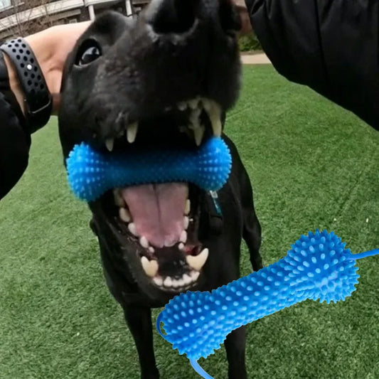 Dog Toothbrushing Toy Suction Cup Pull Rope - MyPetDollar.com