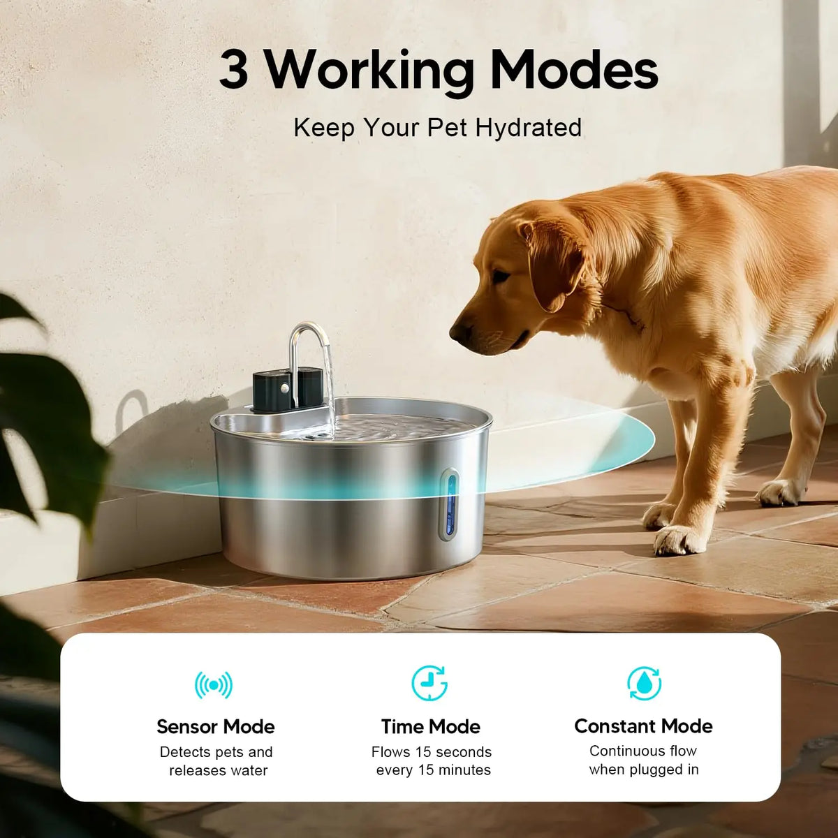 ZYfeeder 7L Large Capacity Charging - MyPetDollar.com