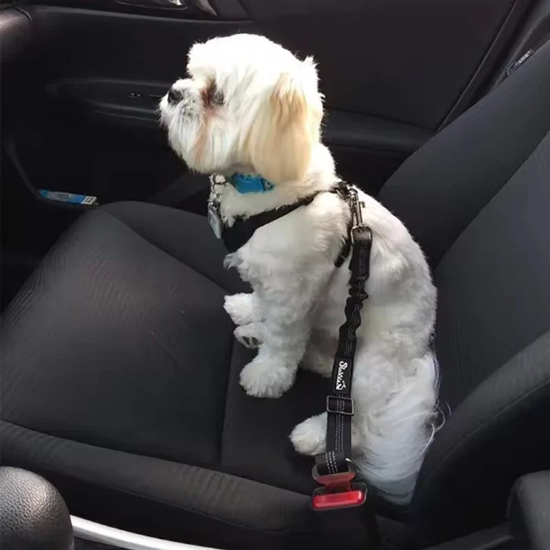New dog Car Safety Belt Dog Safety Belt with - MyPetDollar.com