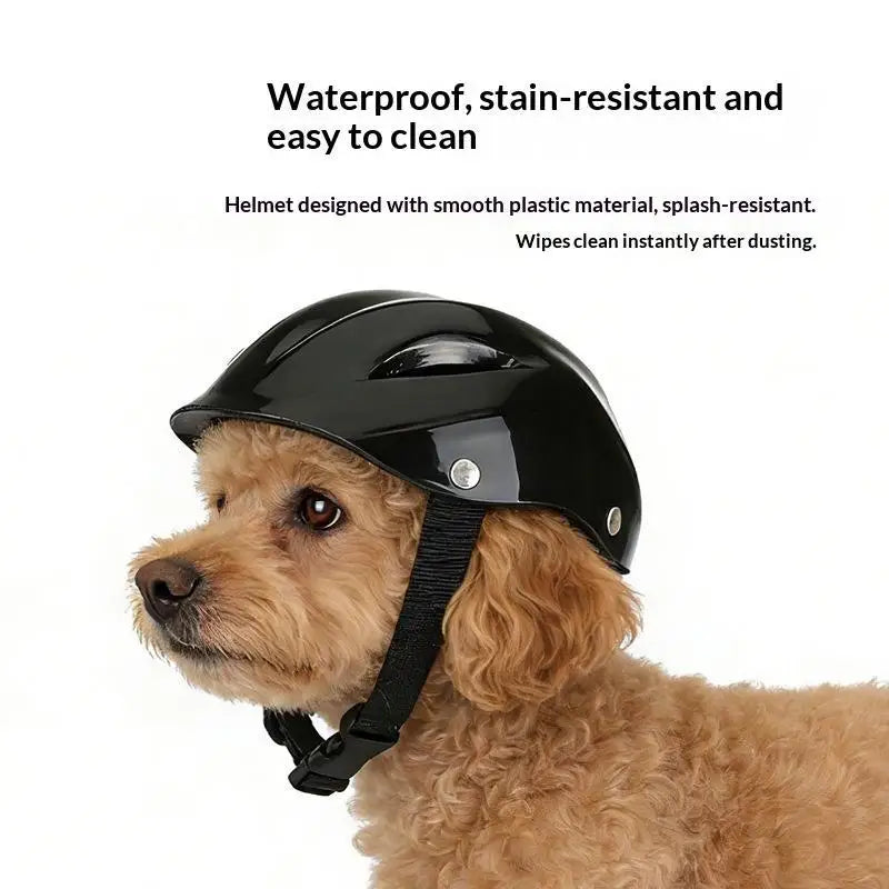 Durable Fashion Plastic Pet Dog Helmet - MyPetDollar.com