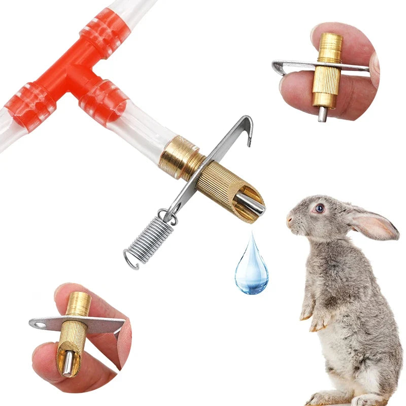 20Set Rabbit Automatic Drinking Nipple Round - MyPetDollar.com