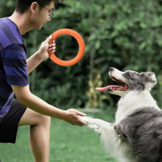 Bite Resistant Soft Dog Ring Toy TPR - MyPetDollar.com