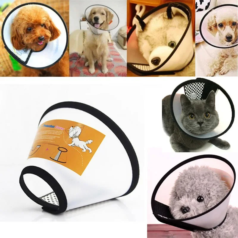Prevent BiteTransparent Dog Cat Protection - MyPetDollar.com