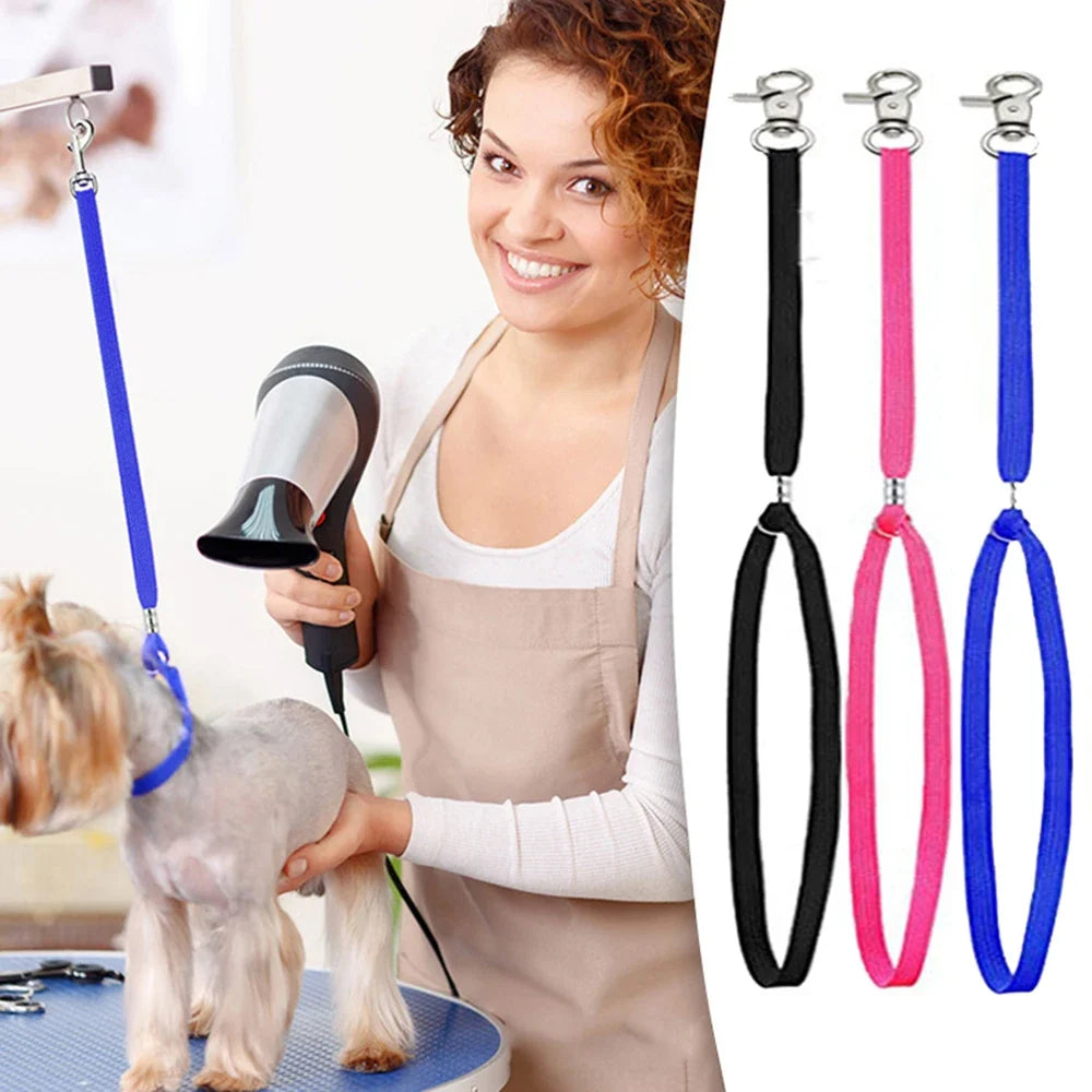 Pet Cat Noose Loop Lock Clip Rope For - MyPetDollar.com