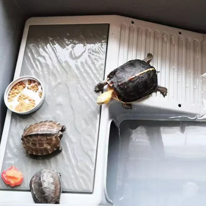 Household Terrariums Large Turtle Breeding - MyPetDollar.com
