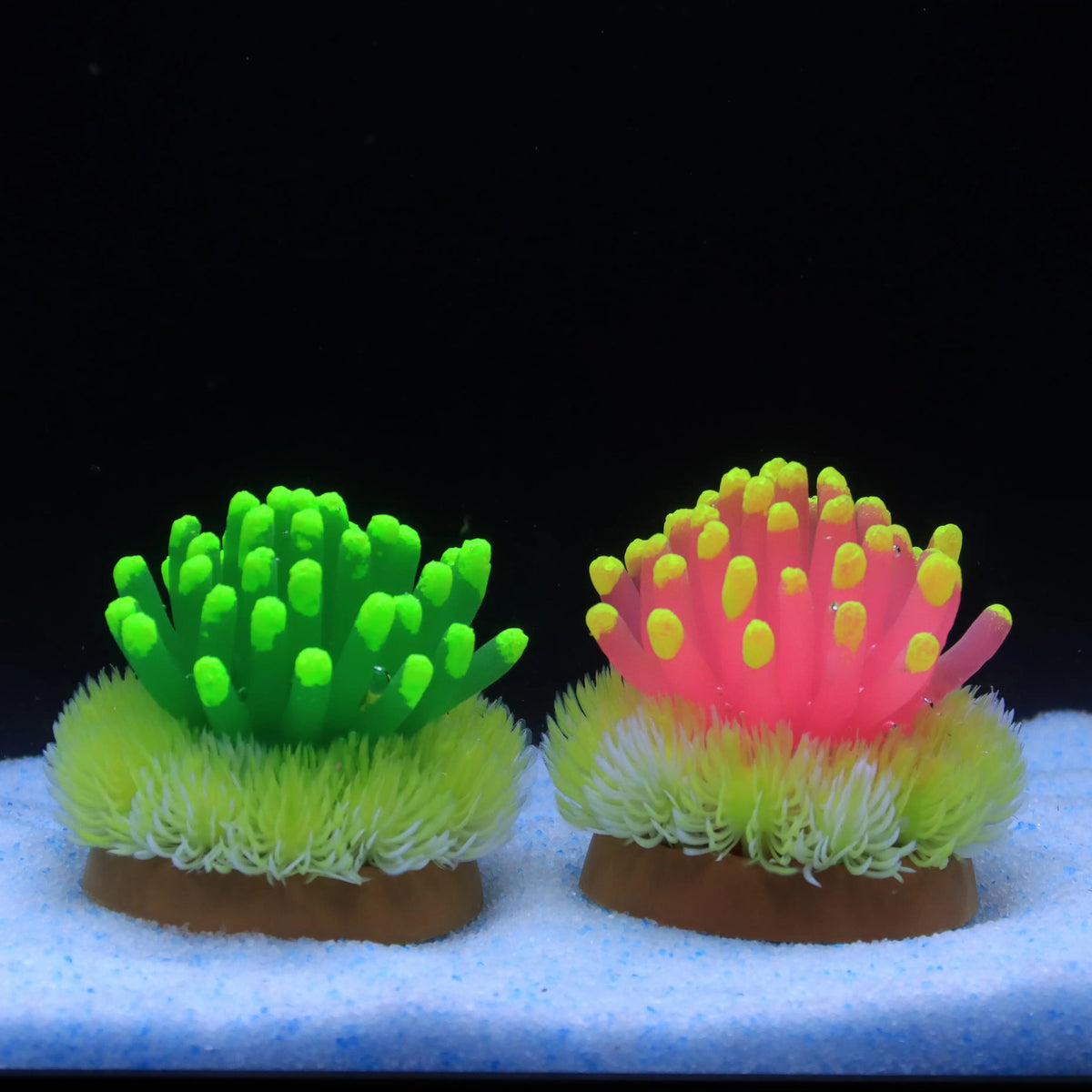 Vibrant Silicone Sea Urchin Starfish - MyPetDollar.com