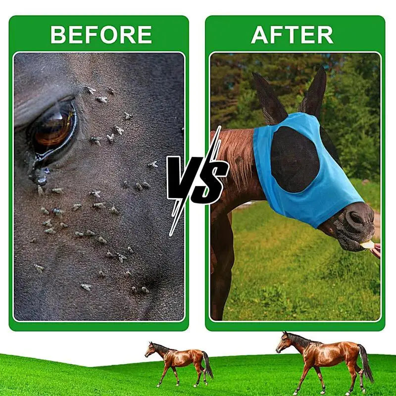 Horse Fly Boots Protective Horse Leg Wraps - MyPetDollar.com