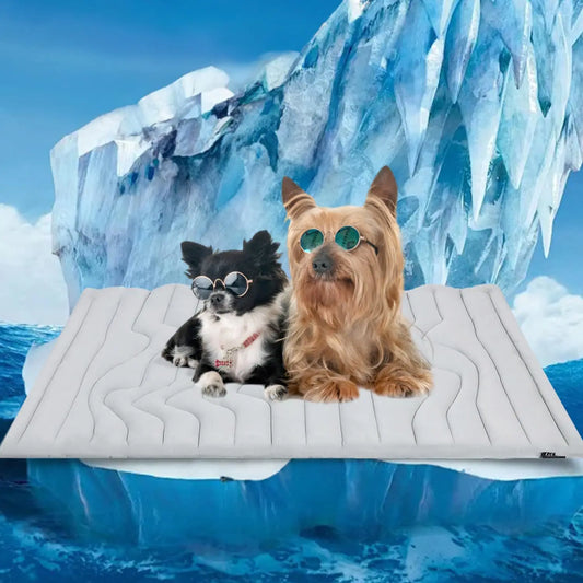Pet Ice Pad Summer Dog Cat Cool Pad Sleeping - MyPetDollar.com