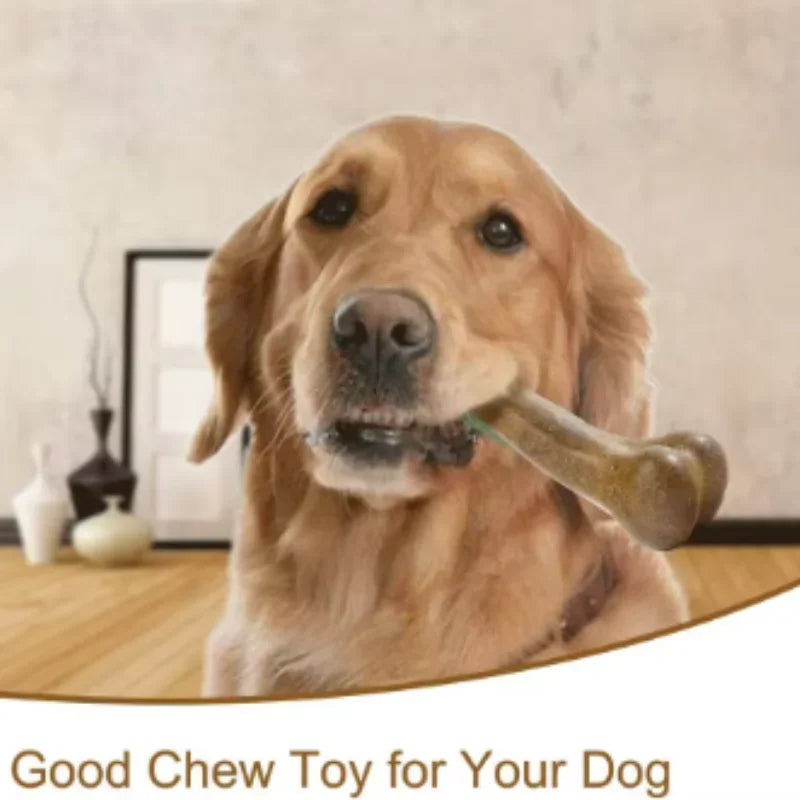Natural Non-Toxic Dog Bone Chew Toy Nearly - MyPetDollar.com