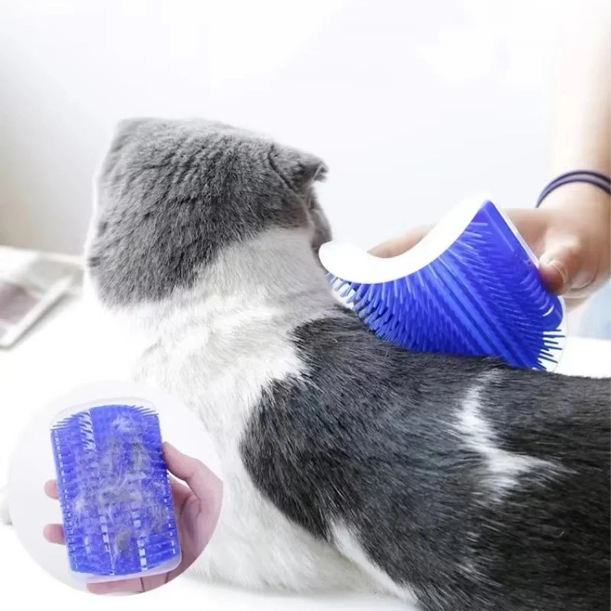 Pet Mair Remover Groomer Cat Toy with Catnip - MyPetDollar.com