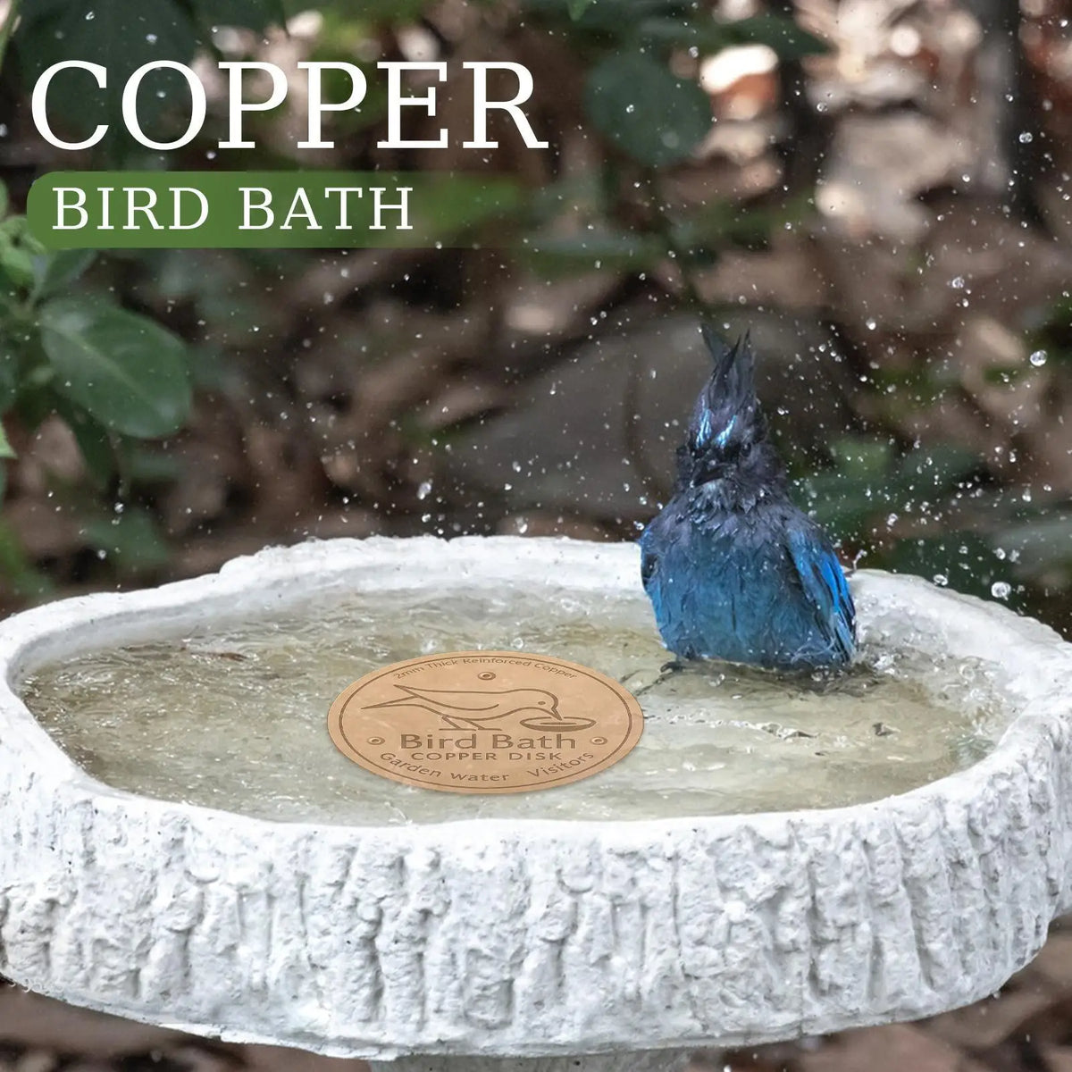 Pure Copper Bird Bath Purification Disc, - MyPetDollar.com