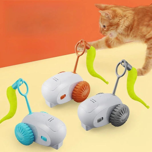 Pet Smart Sports Car with Funny Cat Stick - MyPetDollar.com