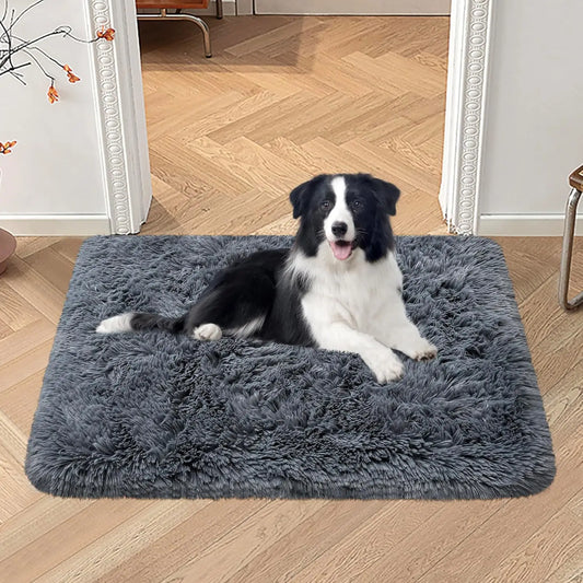 VIKAMA Silk And Wool Carpets Are Soft And Do - MyPetDollar.com