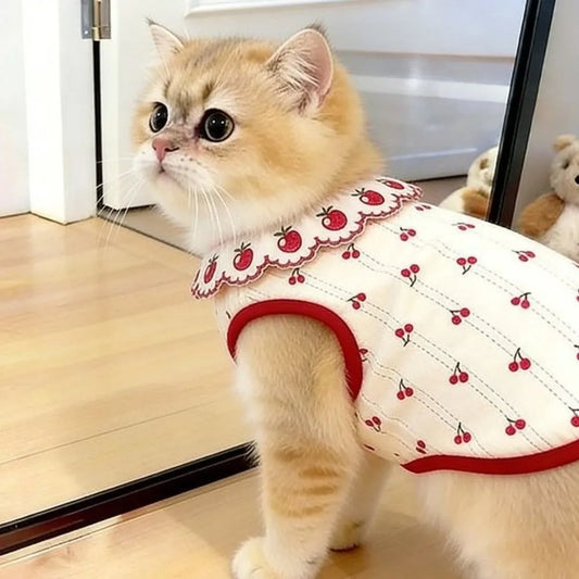 Fashion Ruffled Collar Cat Strawberry Vest - MyPetDollar.com
