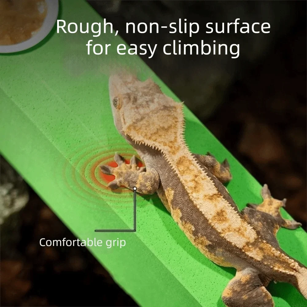Anti Slip Lizard Feeding Stick Wear - MyPetDollar.com