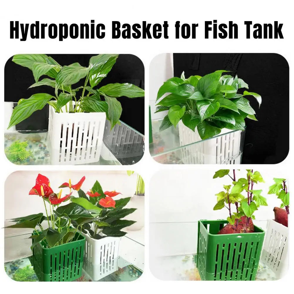 Plastic Aquarium Plant Stand Holder - MyPetDollar.com