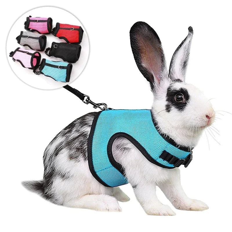 Harness with Leash Set for Rabbits - MyPetDollar.com