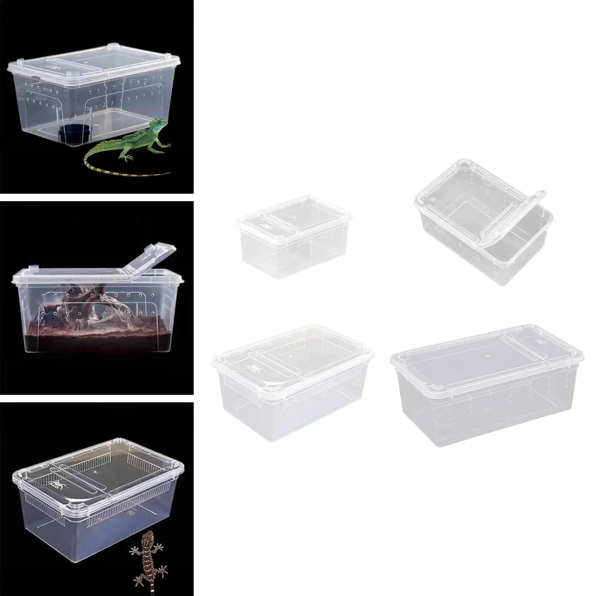 Transparent Reptile Feeding Box Portable - MyPetDollar.com