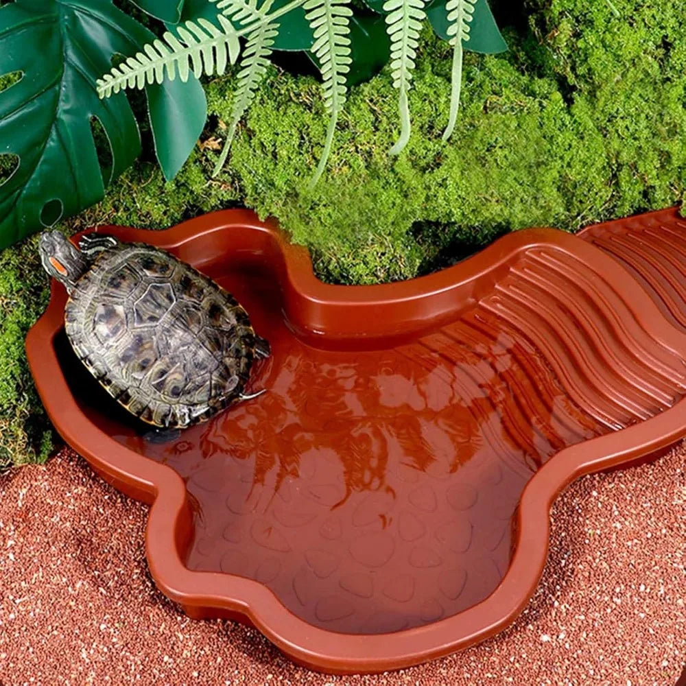 Reptile Bathing Pool Reptile Feeding Dish - MyPetDollar.com