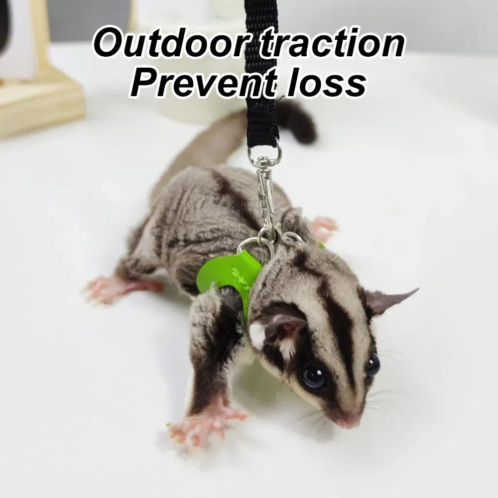 4 Pcs /set Sugar Quoll Harness + Leash Set - MyPetDollar.com