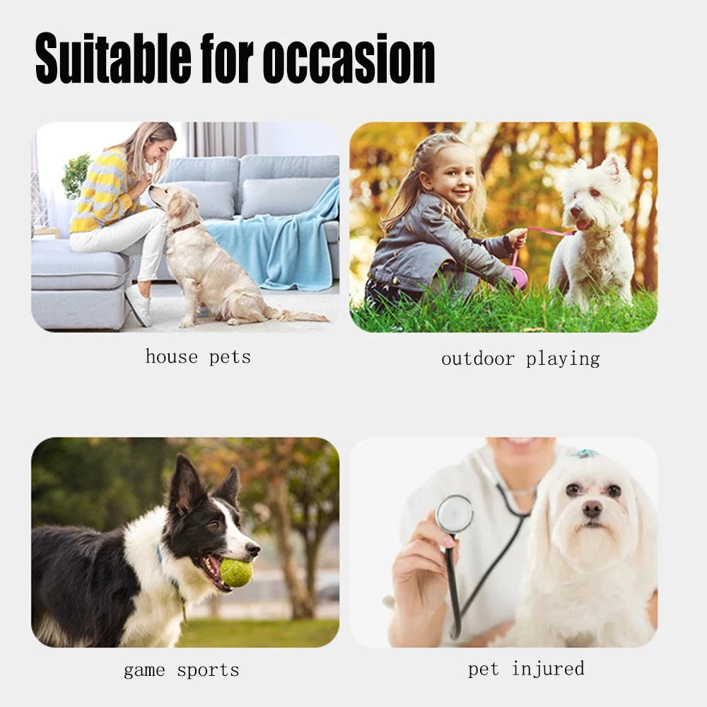 Anti-Dirty Knee Pad for Dogs and Cats, Leg - MyPetDollar.com