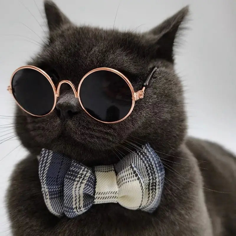 Luxury Glasses Pet Dog Pearl Sunglasses - MyPetDollar.com
