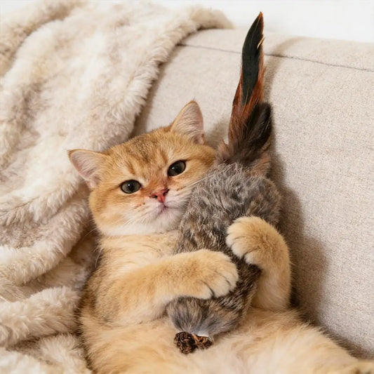 Faux Rabbit Fur Interactive Pet Toys for - MyPetDollar.com