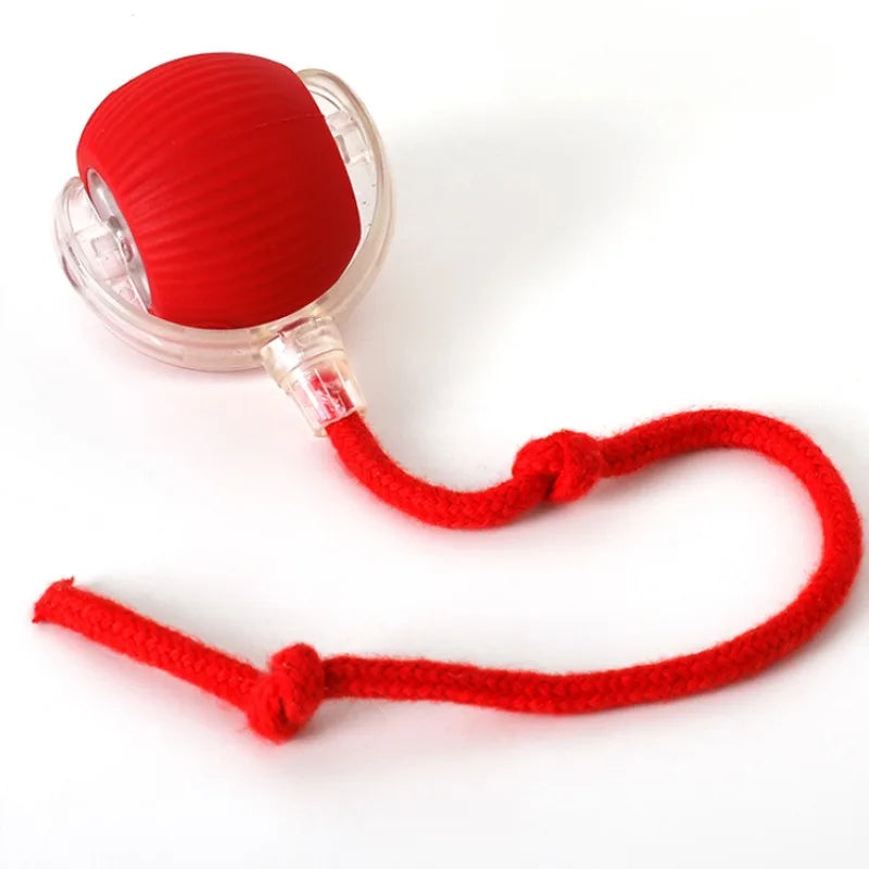 Cat Interactive Ball Plaything