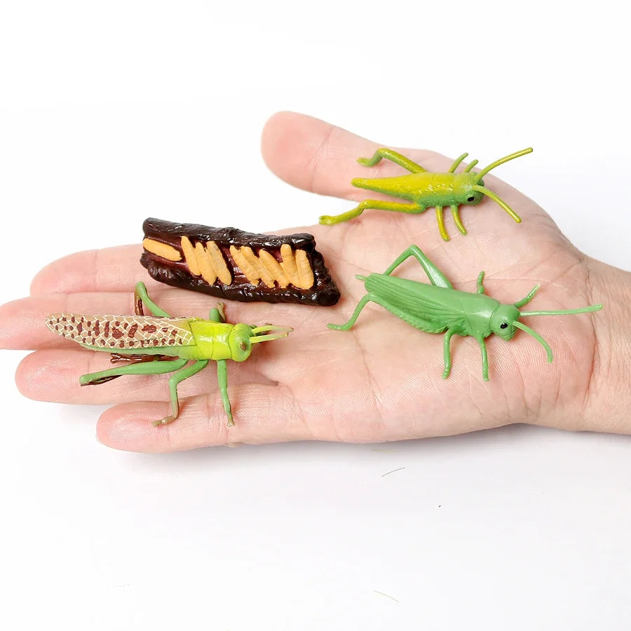 Realistic Insect Grasshopper Mosquito Cicad - MyPetDollar.com
