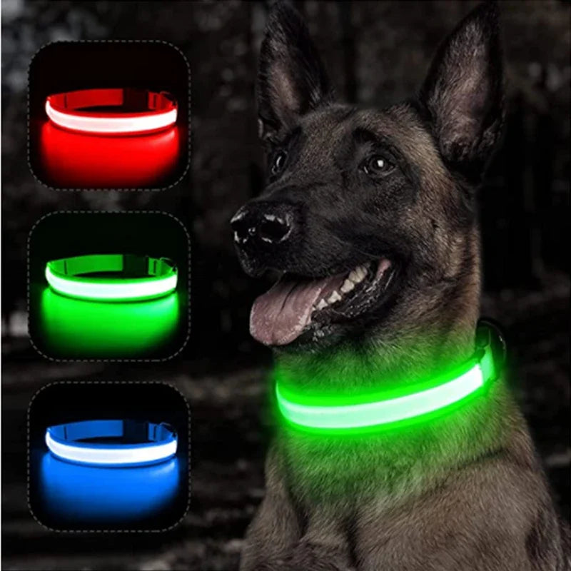 USB Rechargeable Luminous Collar Adjustable - MyPetDollar.com
