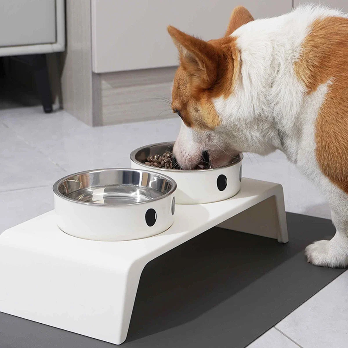 Elevated Pet Dog Feeder Bowls Raised Stand - MyPetDollar.com