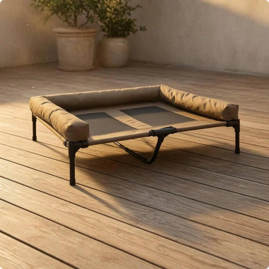 Ventilated Raised Dog Bed with Padded Rim - MyPetDollar.com