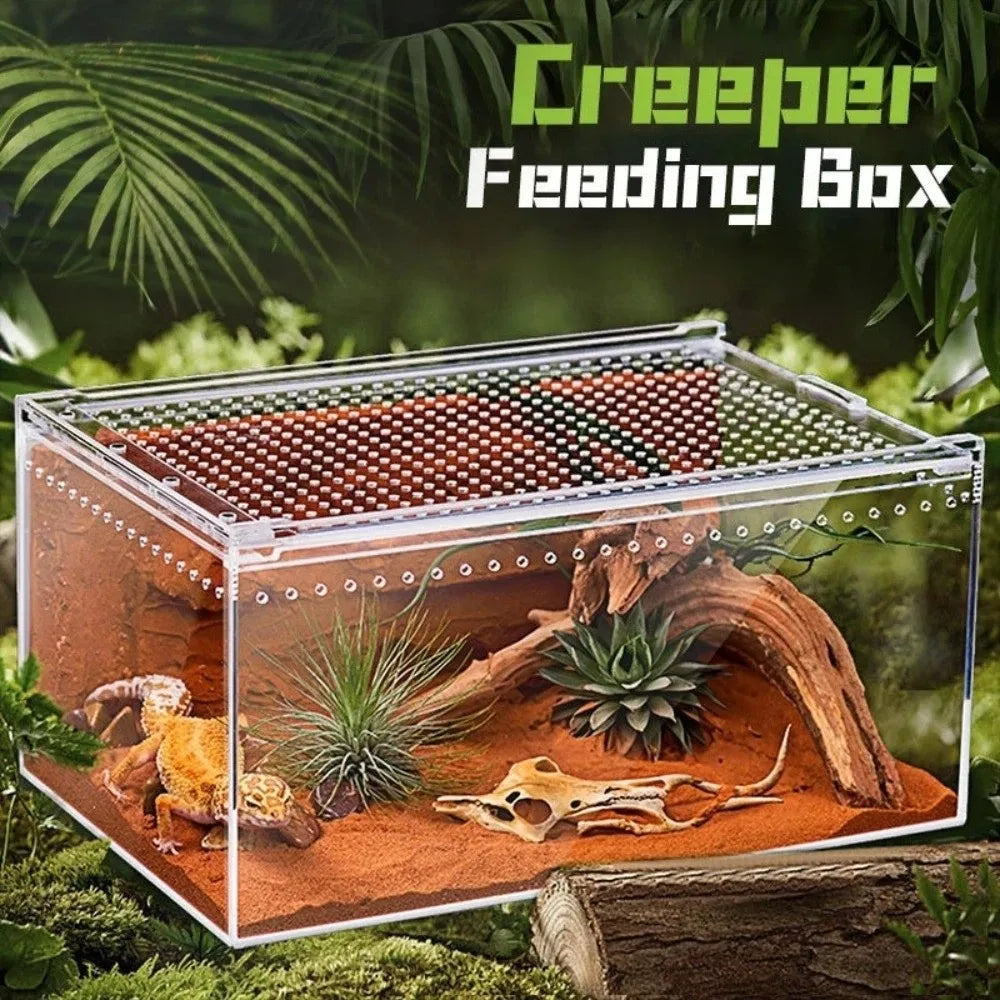 Transparent Reptiles Terrarium Ventilated - MyPetDollar.com
