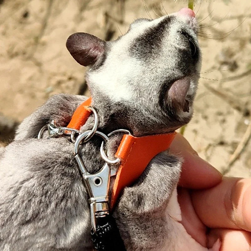 Small Pets Chest Strap Hamster Squirrel - MyPetDollar.com