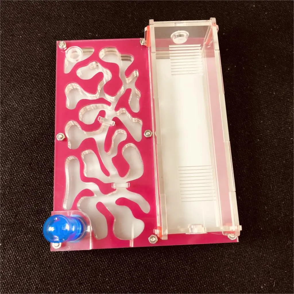 150mmx110mm test tube Moisture big space Ant - MyPetDollar.com