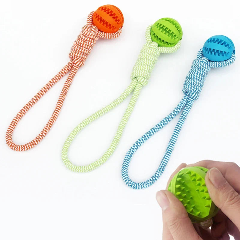 Pet Tooth Cleaning Pet Ball Toy with Rope - MyPetDollar.com