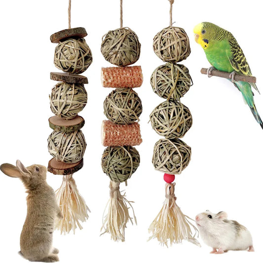 Natural Pet Chew Toys for Rabbit Hamster - MyPetDollar.com