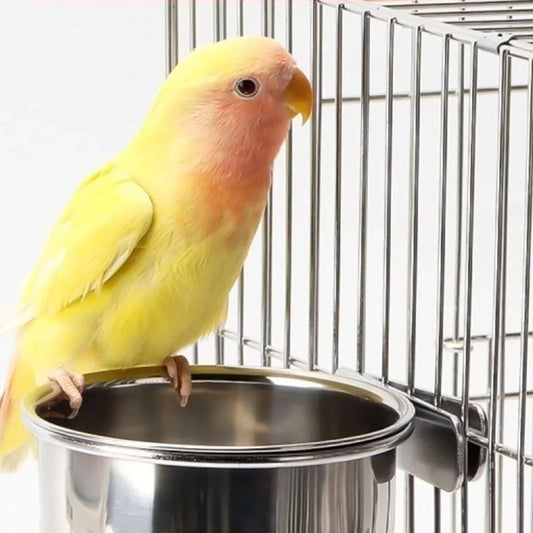 1pc-Stainless Steel Bird Feeder, Parrot Food - MyPetDollar.com