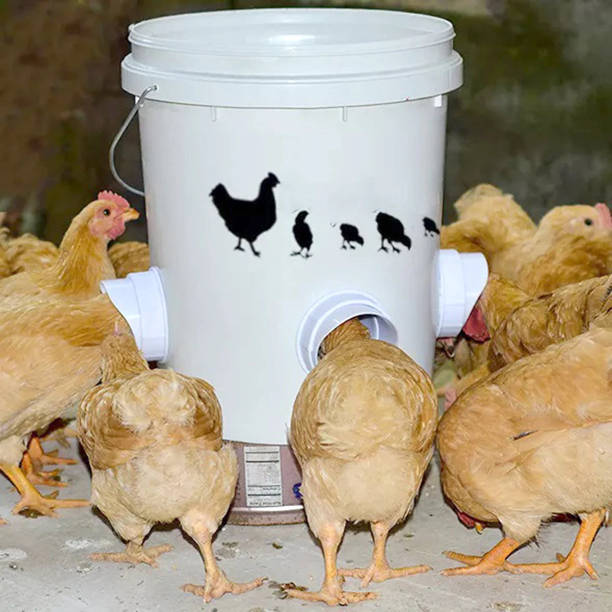 Chicken Feeder Poultry Feeding Supplies DIY - MyPetDollar.com