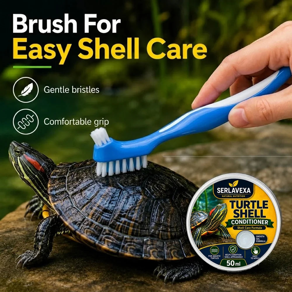 SERLAVEXA 4PCS Turtle Care Set Mud Turtle - MyPetDollar.com